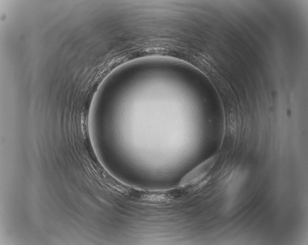 X0000056370575200508261406