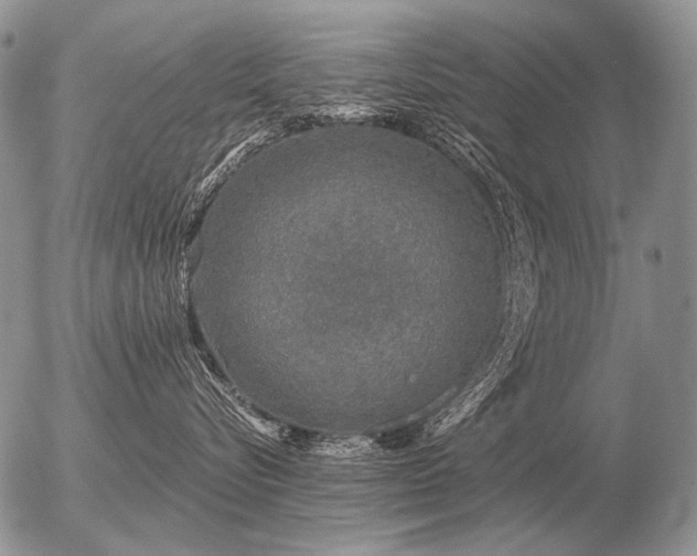 X0000056370576200508261406