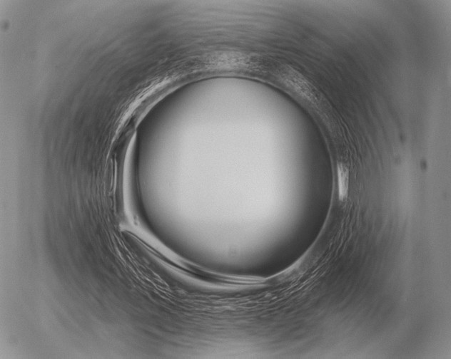 X0000056370579200508261405