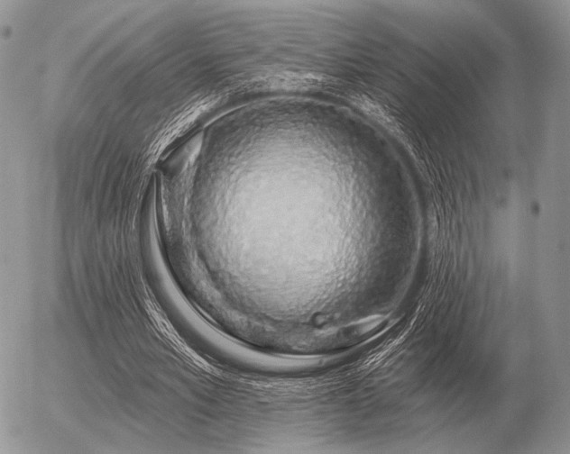 X0000056370581200508261405