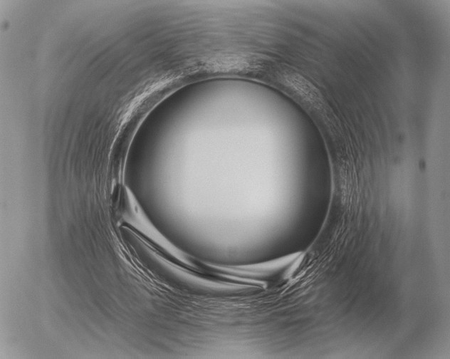 X0000056370583200508261405