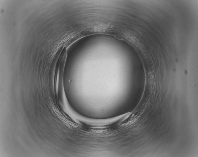 X0000056370589200508261405