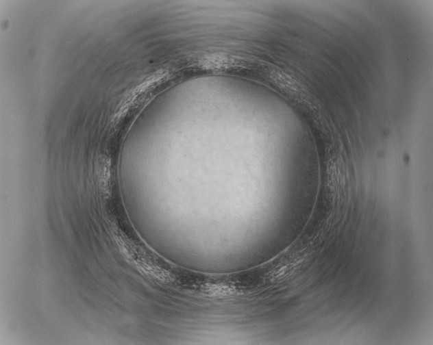 X0000056370592200508261405