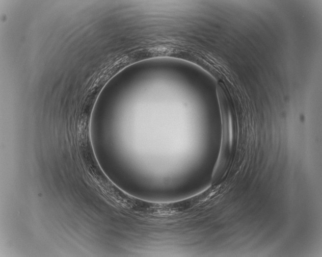X0000056370601200508261405