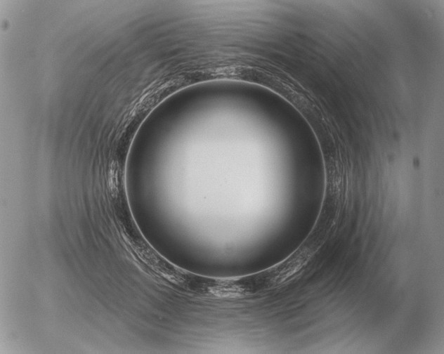 X0000056370603200508261405