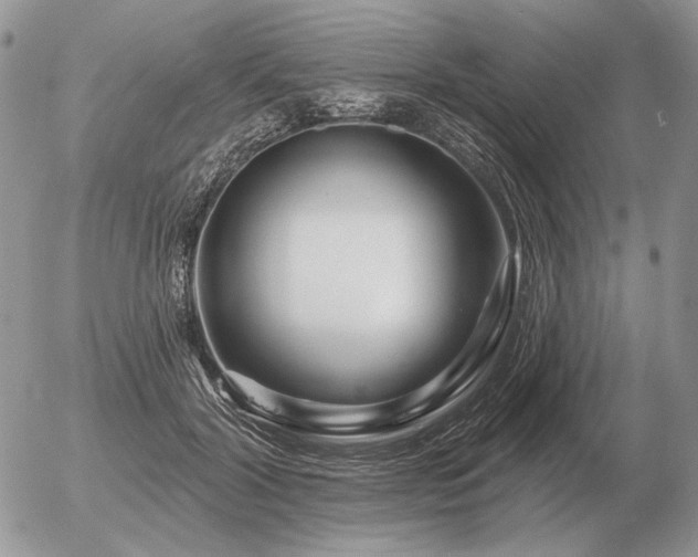 X0000056370604200508261405