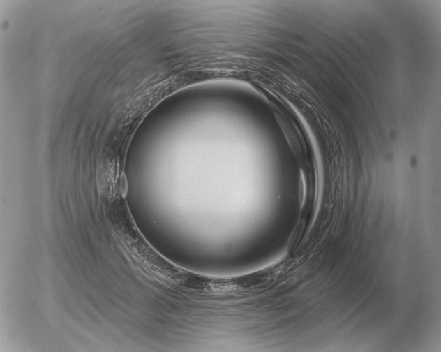 X0000056370605200508261405