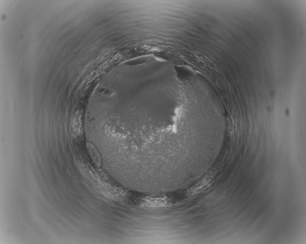 X0000056370606200508261405