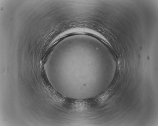 X0000056370608200508261405