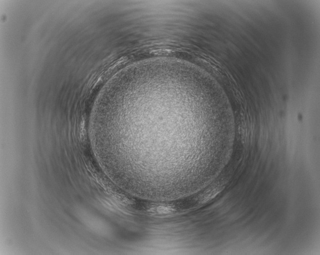 X0000056370610200508261405