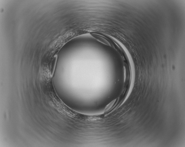 X0000056370617200508261404