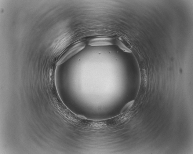 X0000056370619200508261404