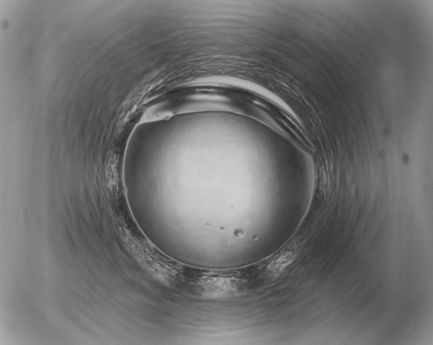 X0000056370620200508261404