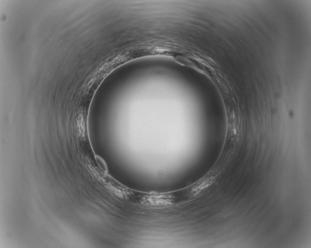 X0000056370622200508261404