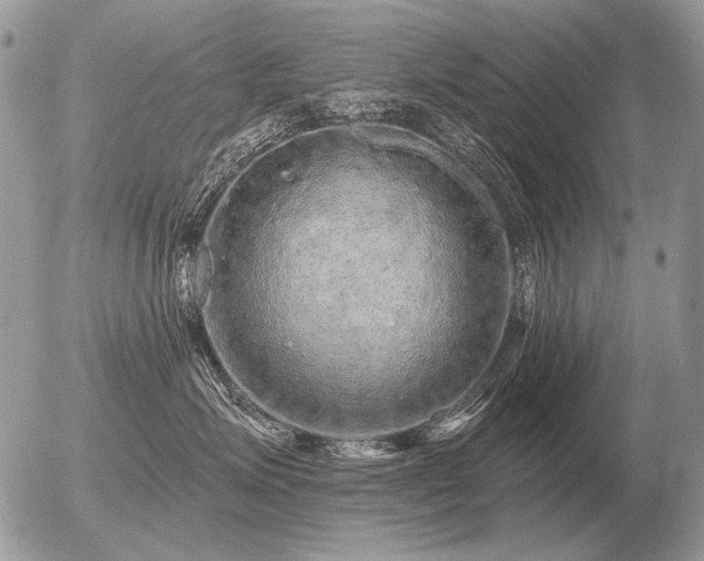 X0000056370623200508261404