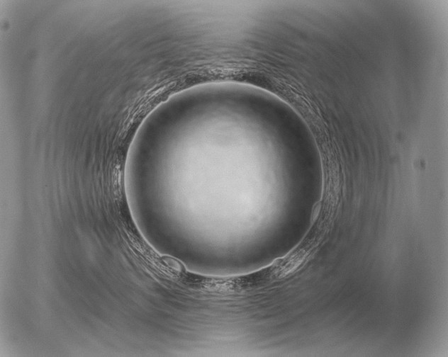 X0000056370624200508261404