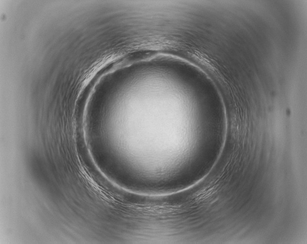 X0000056370626200508261404