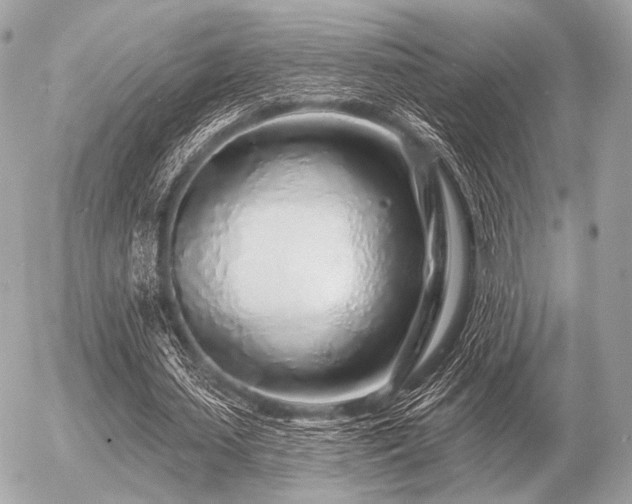 X0000056370627200508261404