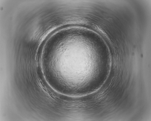 X0000056370628200508261404