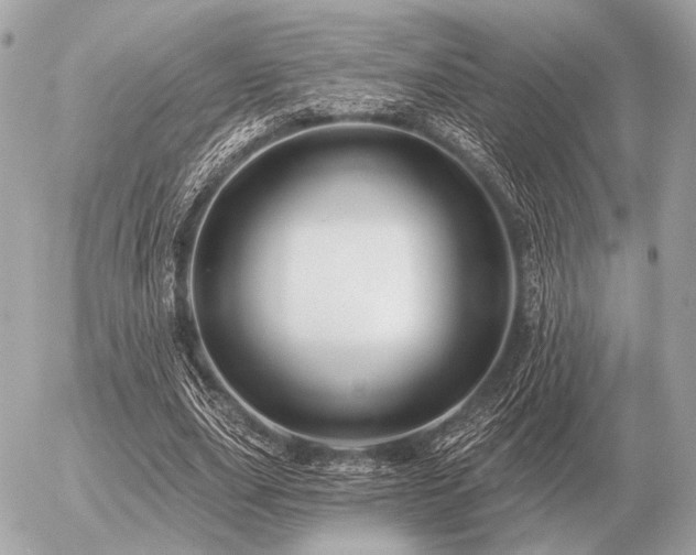X0000056370631200508261404