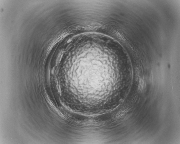 X0000056370634200508261404