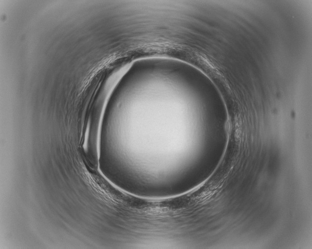 X0000056370637200508261404
