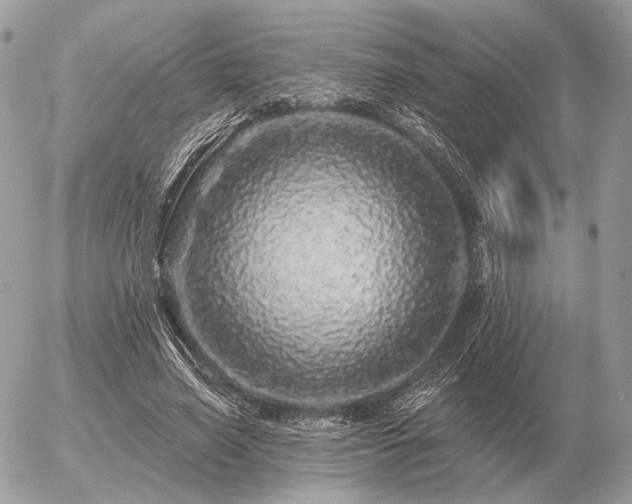 X0000056370638200508261404
