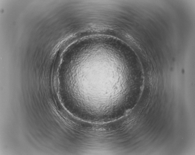 X0000056370640200508261404