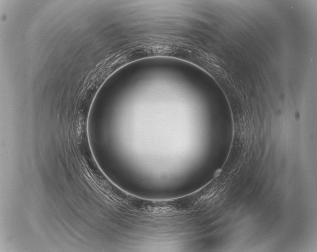 X0000056370645200508261404