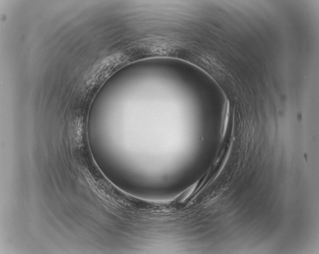 X0000056370646200508261404