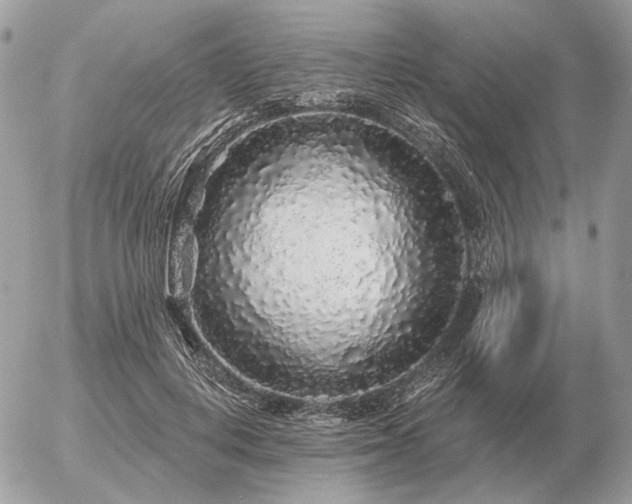 X0000056370648200508261404