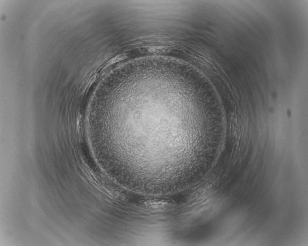X0000056370650200508261404