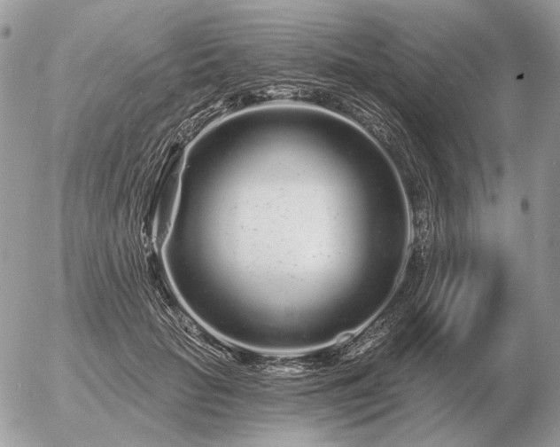 X0000056370653200508261404