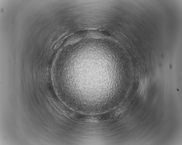 X0000056370656200508261404