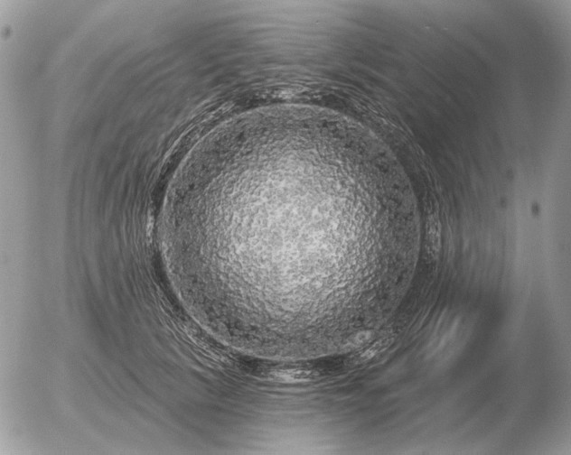 X0000056370657200508261404