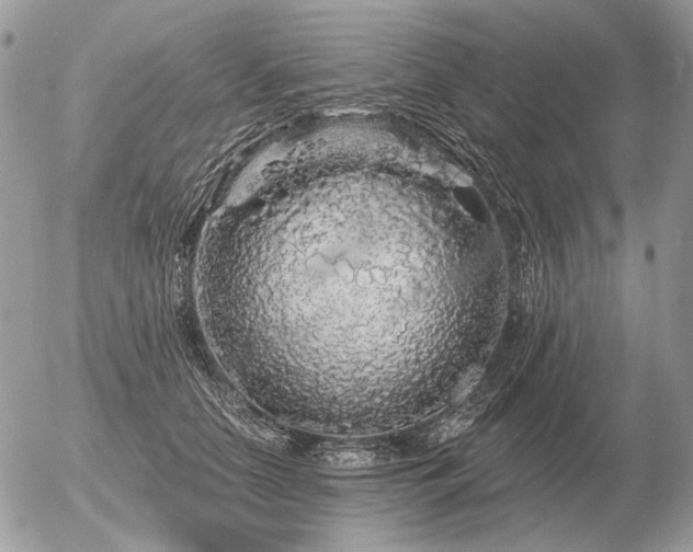 X0000056370658200508261404
