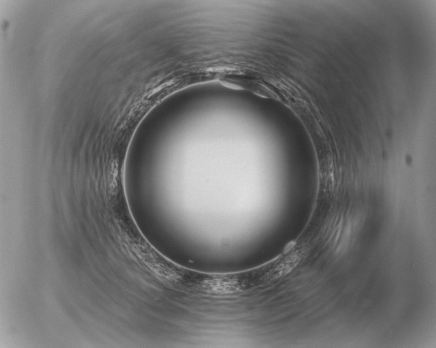 X0000056370660200508261404