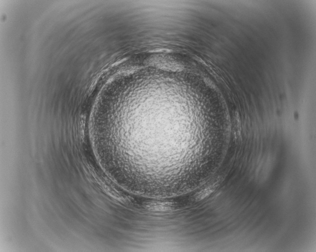 X0000056370664200508261404