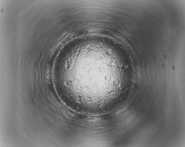 X0000056370667200508261404