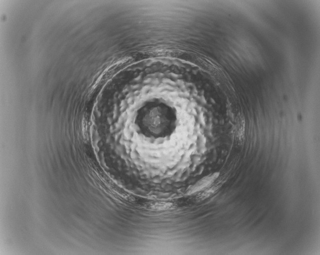 X0000056370669200508261404