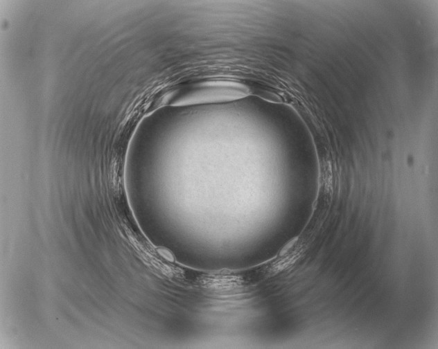 X0000056370670200508261404