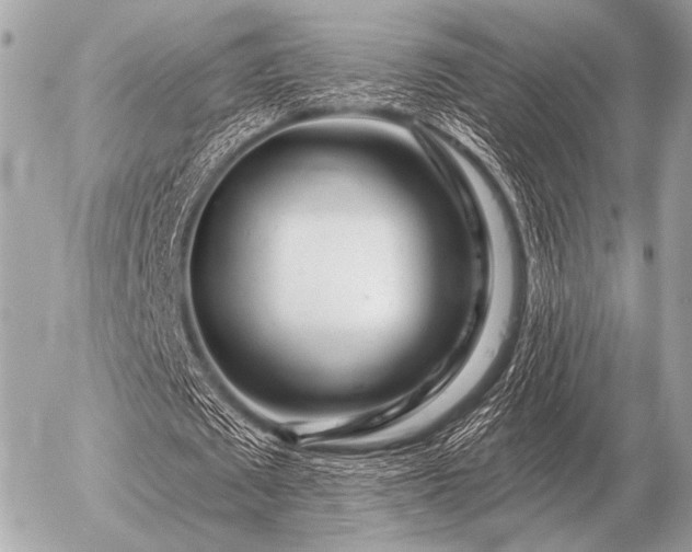 X0000056370673200508261404