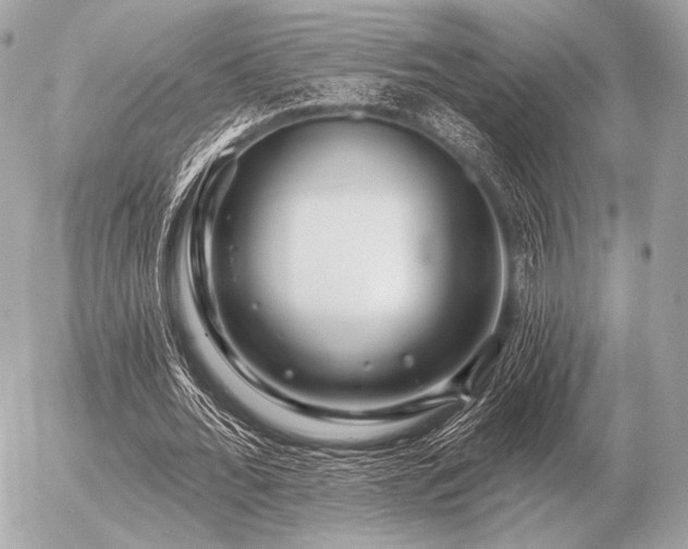X0000056370676200508261403