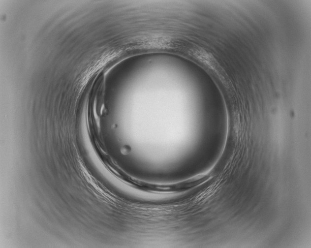 X0000056370677200508261403