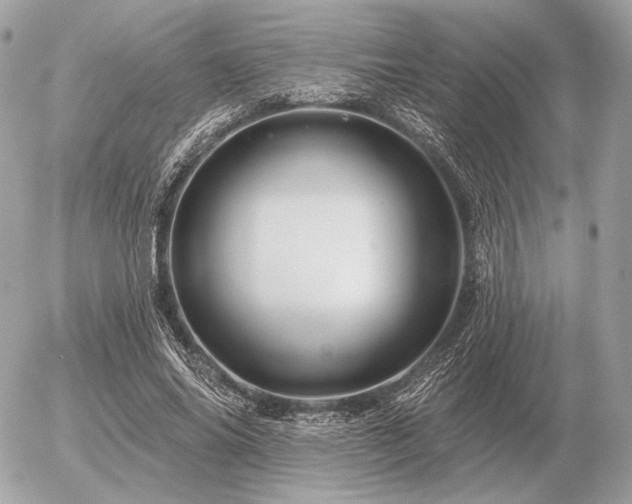 X0000056370686200508261403
