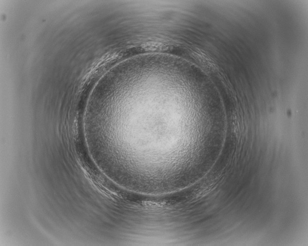 X0000056370690200508261403