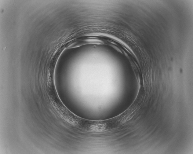 X0000056370700200508261403
