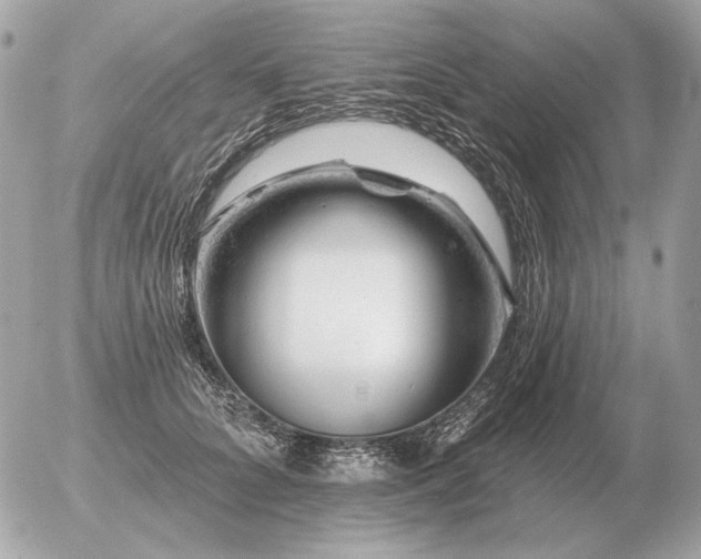 X0000056370704200508261403
