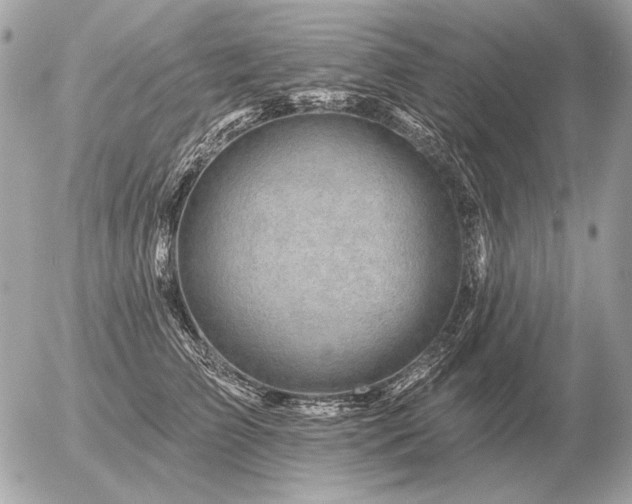 X0000056370709200508261403