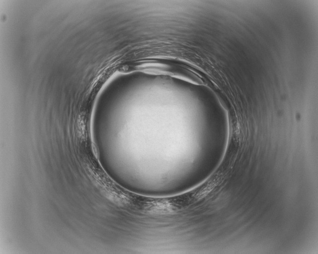 X0000056370715200508261403